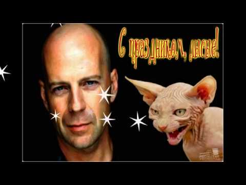 День лысых День лысых