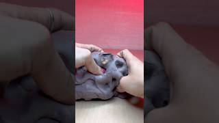 Kiya Tod Diye 🤯 #shorts #short #shortvideo #shortsfeed #shortsviral #asmr #asmrvideo #viralvideo