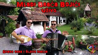 Mladi Braca Bojici - Dobra gara i sljiva rakija [Uživo]