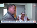 El digüeñe en la Araucanía: el codiciado hongo que se vende a 20 mil el kilo | 24 Horas TVN Chile