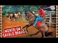 Domando cavalo Bravo