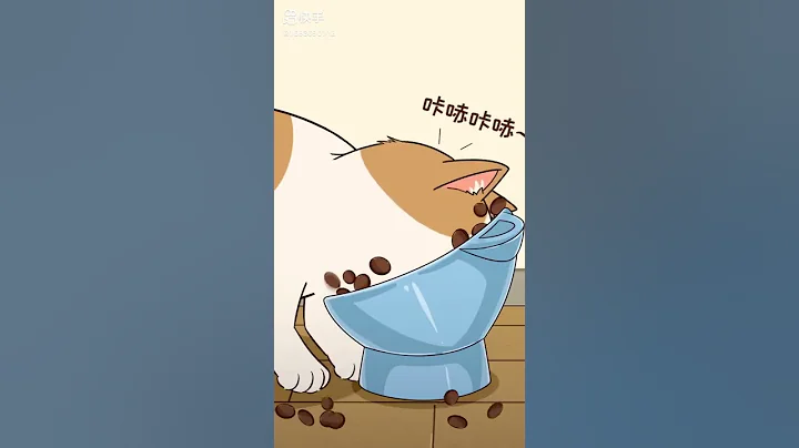 王多喵：這3種貓你敢養嗎！？反正我不養！ - 天天要聞
