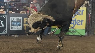 Remembering Rango: 2007-2014 (PBR)