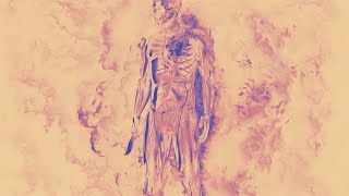 Meshuggah - God He Sees In Mirrors| Immutable STEM-ReMASTERED