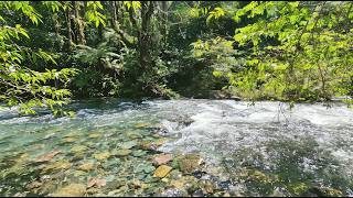 Ultimate River Relaxation ASMR 🌊 Pure Water Flow – No Rain No Music for Deep Sleep