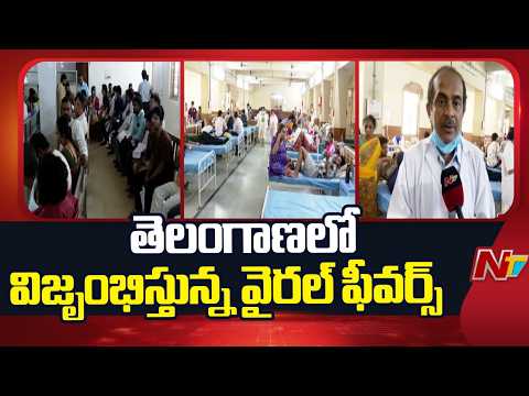 Viral Fever Rampant In Telangana, Hospitals See Huge Inpatients | NTV Telugu - NTVTELUGU