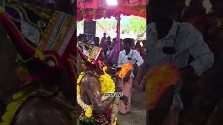 Seelathikulam Kodai Vizha...🙏🏻🔥