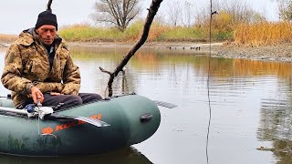 видео: ПОПАЛИ НА ЖОР КАРАСЯ ПЕРЕД ЗИМОВКОЮ. Рибалка на боковий кивок картинка: ПОПАЛИ НА ЖОР КАРАСЯ ПЕРЕД ЗИМОВКОЮ. Рибалка на боковий кивок