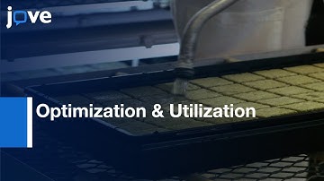 Agrobacterium -Mediated Transient Protein Production In Nicotiana