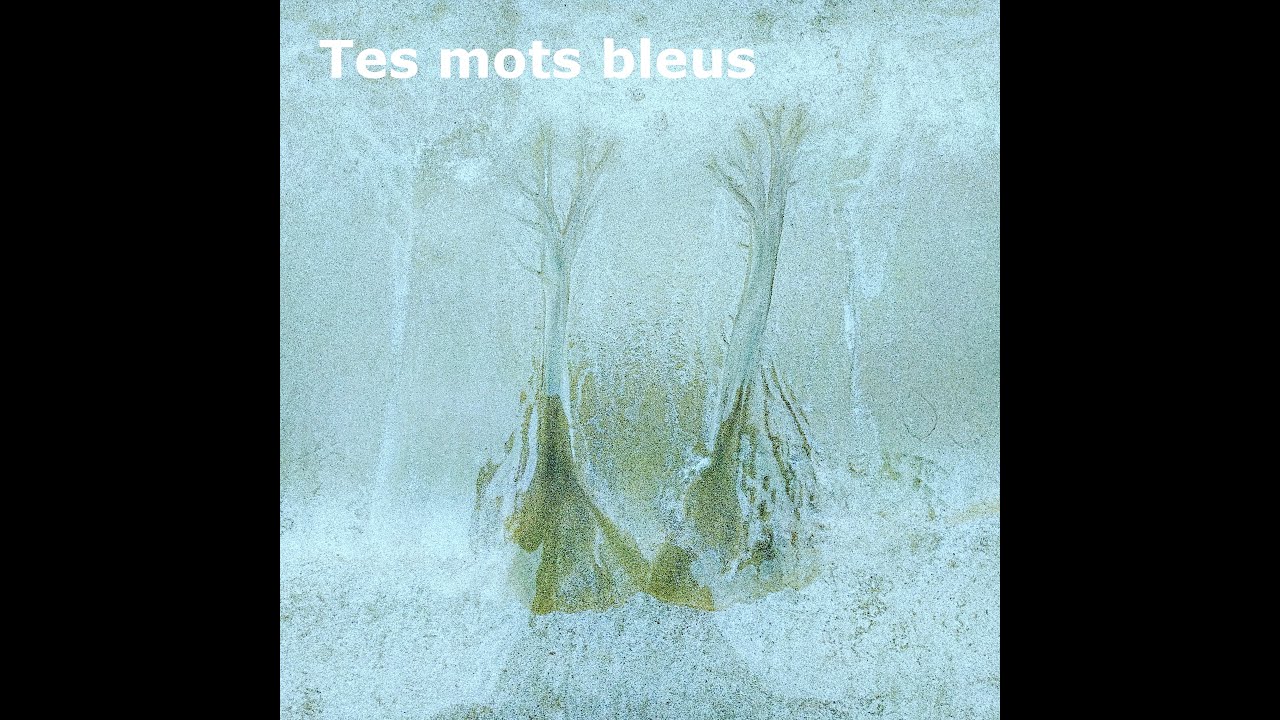 Tes mots bleus - Monte Cristal (feat. Riverbird)