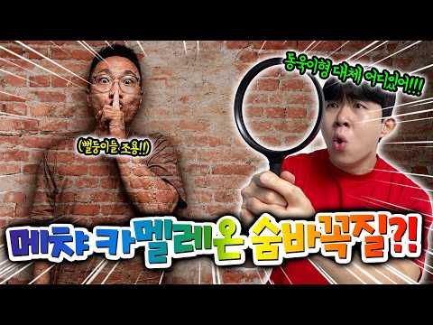 메챠 카멜레온?! 숨바꼭질하는 게임이 유행이라고?!