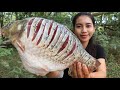 Cooking fish fried with chili sauce recipe - Amazing cooking