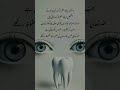 انسان اگر خود سے غافل ہو جائے تو واقعی خود کو ڈھونڈنے میں وقت لگتا ہے 100 Urduquotes Urdupoetry انسان اگر خود سے غافل ہو جائے تو واقعی خود کو ڈھونڈنے میں وقت لگتا ہے 100 Urduquotes Urdupoetry