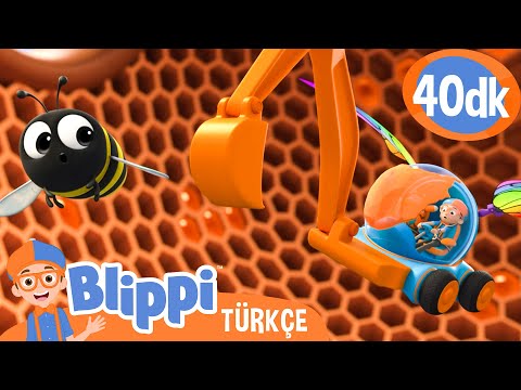 Blippi Arıların Nasıl Bal Yaptığını Keşfediyor 🍯 | Blippi Türkçe - Çocuklar için Eğitici Videolar