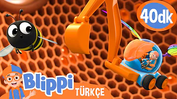 Blippi Arıların Nasıl Bal Yaptığını Keşfediyor 🍯 | Blippi Türkçe - Çocuklar için Eğitici Videolar