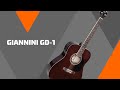 REVIEW GIANNINI GD-1!!! (reviews gerais)