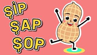 Badem Adam Şarkısı 🥜 | Kuruyemişleri Öğreniyoruz | Eğitici Video