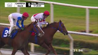 Vidéo de la course PMU DEVASSA (2024)