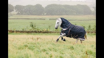 LeMieux - Keep Caring