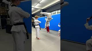 Amazing 6 Kicks In The Air. Taekwondo