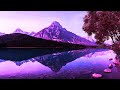 528Hz Reiki Music for Self Healing ➤ All Levels - Deepest Healing | Stress Relief & Mental Detox