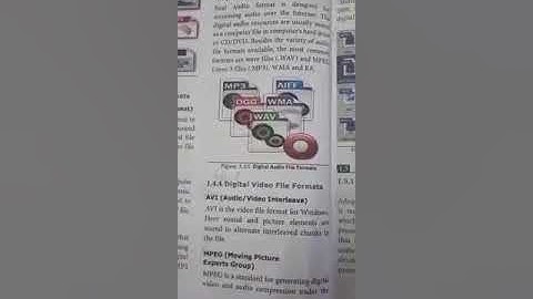 12th computer application multimedia-file formats  video  (EM) by SA