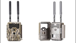 Best Trail Cameras on Amazon - FULL REVIEW