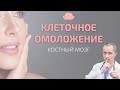 Клеточное омоложение. Марафон 1 день. Причем тут костный мозг?