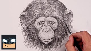 how to draw chimpanzee sketch tutorial