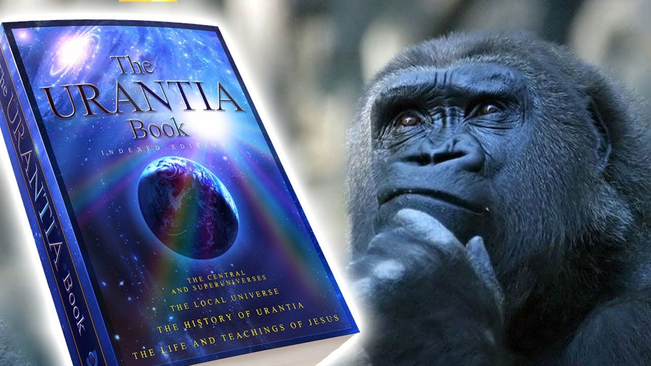 🔵 MINHA OPINIÃO 🔵 O HOMEM VEIO DO MACACO? 🔵 LIVRO DE URANTIA