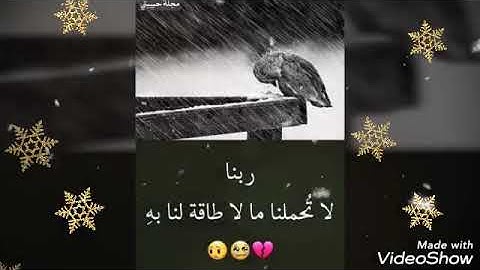 سوره النبأ بصوت القارئ محمد صبحي قنديل