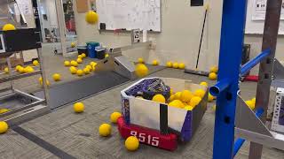 IMG 4676