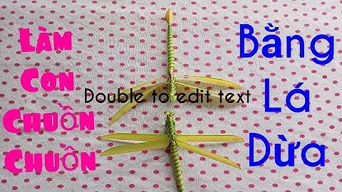 Làm con chuồn chuồn bằng lá dừa.