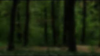 *JK* LoGaN pAuL *REuploaded* FiNdInG  dEaD bOdY IN FOREST *JK*