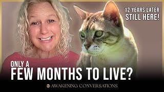 From Nurse to Quantum Healer: Helen Fletcher’s Journey of Awakening and Spiritual Transformation