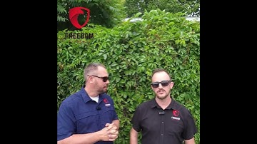 Freedom Payments has gateway API