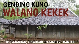 GENDING KUNO WALANG KEKEK - GENDING UYON UYON KLASIK - GENDING TEMPO DOELOE