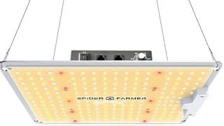 Spider Farmer LED, Outdoors, & The Battlestar Botanica