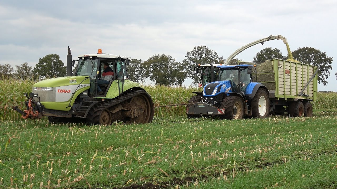 Mais hakselen en door de modder aan de Kolenmieten - loonbedrijf Reimink (2024)