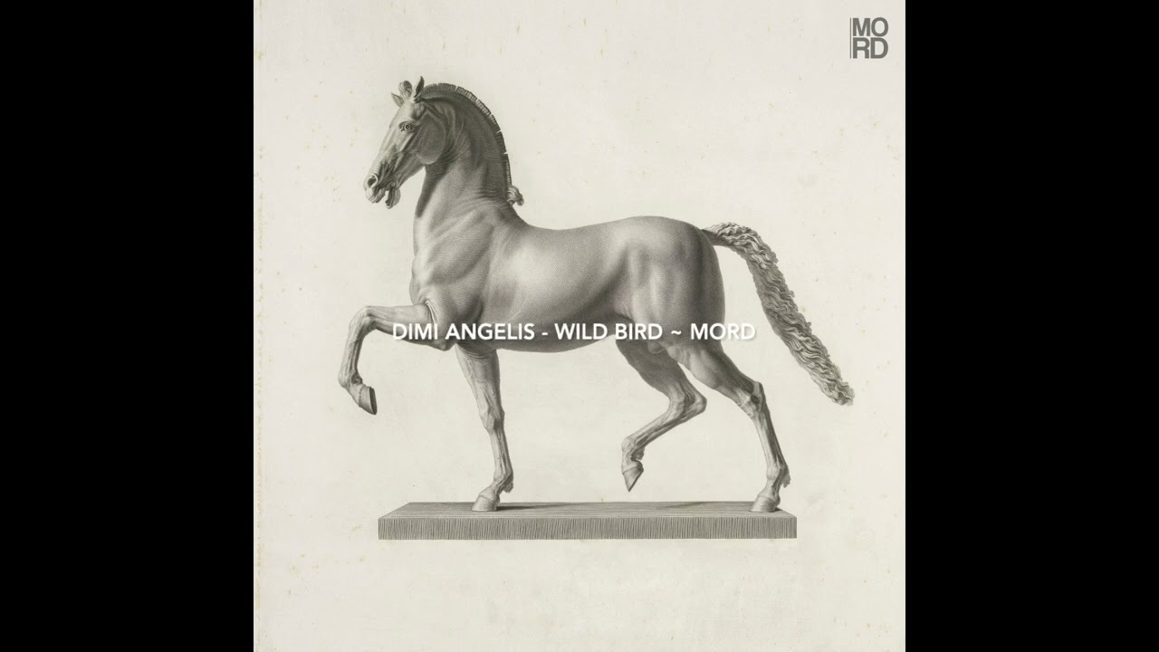 Dimi Angelis - Wild Bird ~ [Mord]