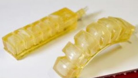 몸에 들어가 약물 전달…