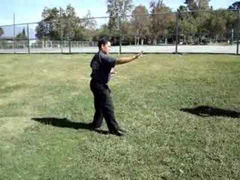 yang tai chi - repulse monkey form - YouTube