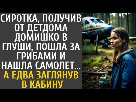 Сиротка, получив от детдома дом в глуши, пошла за грибами и нашла самолет… А едва заглянув в кабину…