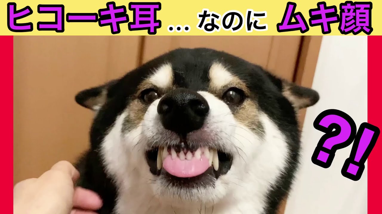 This Face Is Not Anger Youtube This Face Is Not Anger Youtube