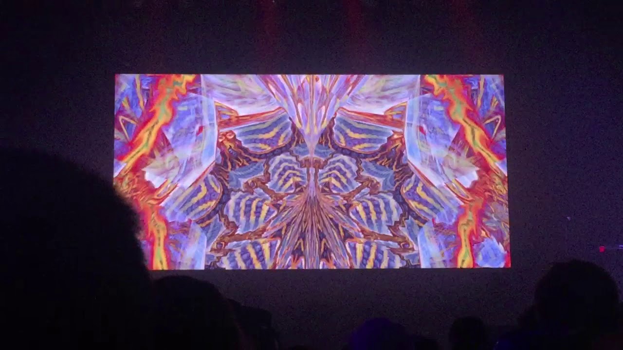 Jonathan Singer visuals at Alex Grey show in Denver Nov 2018 pt1