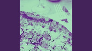 Thrilling Backdrops for Echelon Memories