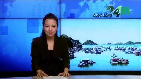 Đề nghị làm cáp treo dài nhất thế giới ra đảo Cát Bà | VTC14