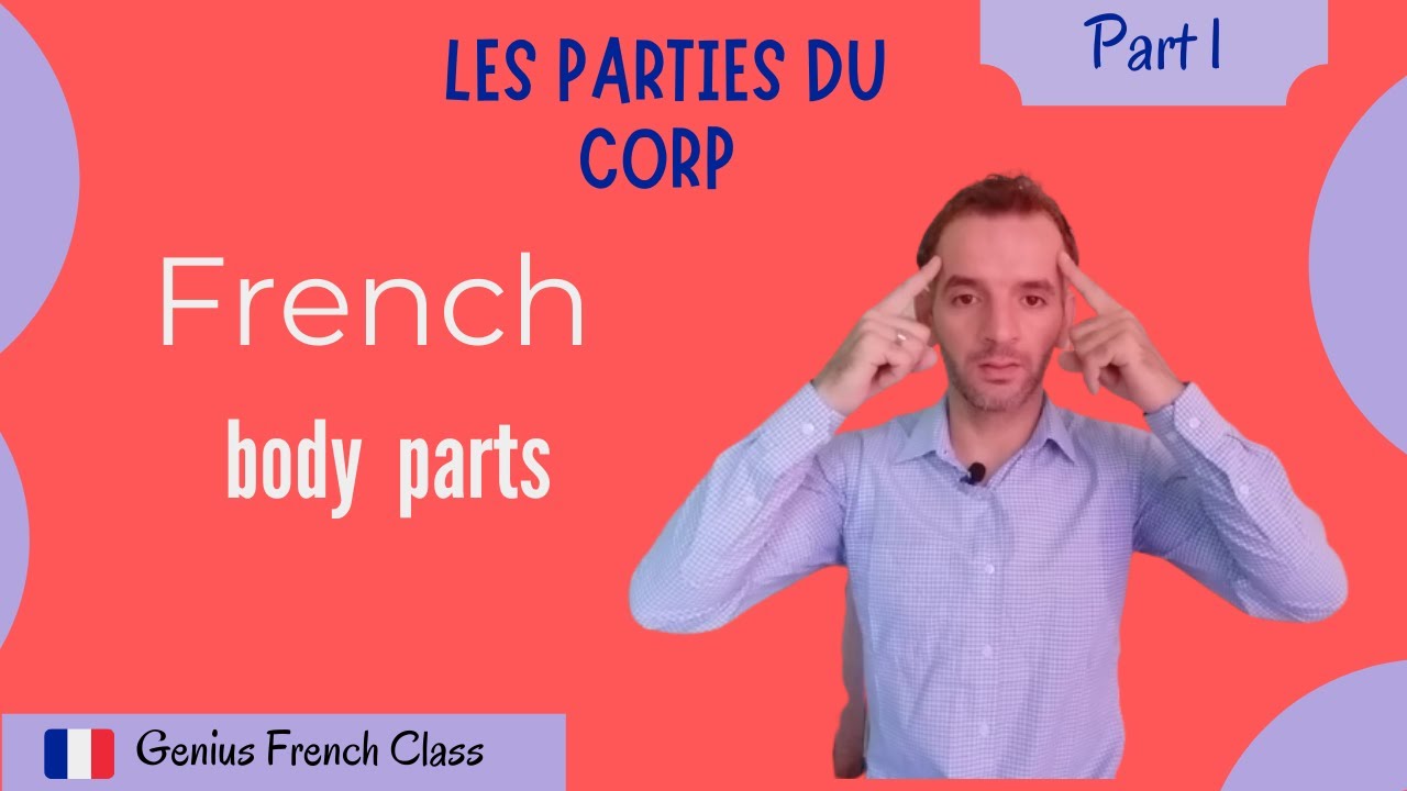 Learn how to read, pronounce and write the body parts in French YouTube