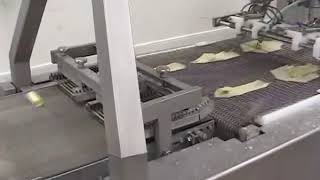 Automatic Fried Spring Roll Machine 自动卷机