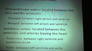 lab ch7-8 & 12 part 2.WMV
